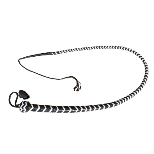 long whip black and white