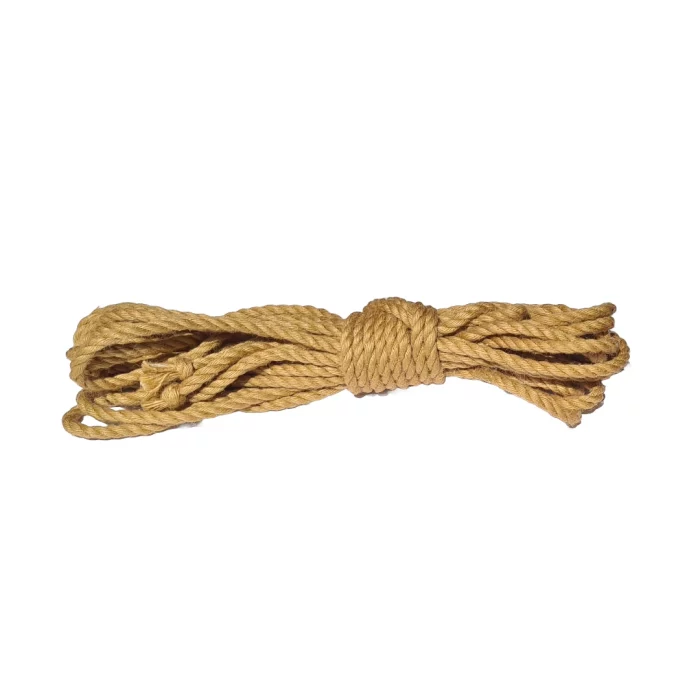 Lina Seki Shibari