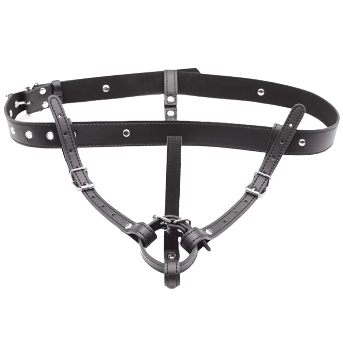 Harness for vibrating head